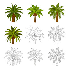 Ultimate Nature Vector Mega Bundle: Detailed Exotic Trees with Roots, Tropical Palms, Ferns, and Botanical Outline Collection