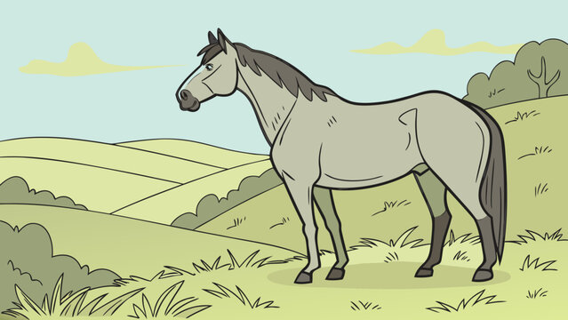 Ein graues Pferd in der freien Natur