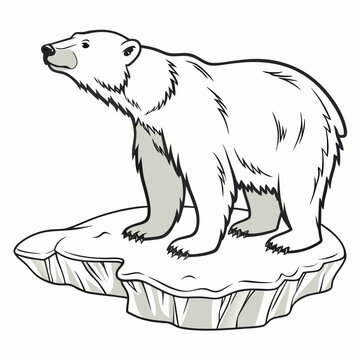 Ein Eisb&auml;r der auf einer Eisscholle steht.