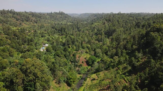 Aerial view of mt kenya lush green forest valley