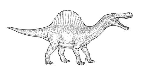 Line drawing of a Spinosaurus, depicted with an open mouth. It features a large sail on its back, textured skin, and a long tail, conveying a prehistoric feel.