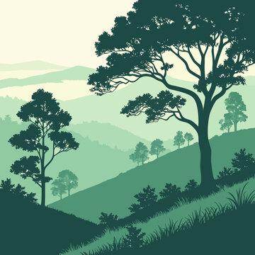 Layered forest hill landscape with a sense of depth and perspective, clean natural vector art.