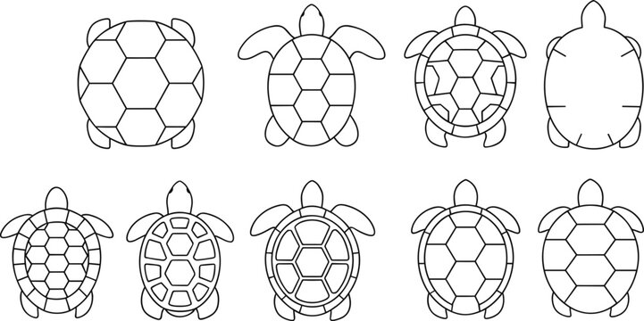 Sea Turtle Top View Outline Vector Set with Geometric Shell Variations for Marine Biology Education Infographics Logos and Minimal Line Art Designs