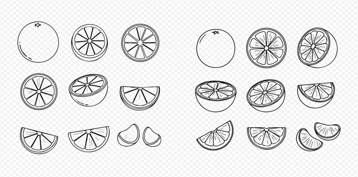 Set of hand-drawn orange fruit slices and whole oranges in various forms and angles, black and white line art.