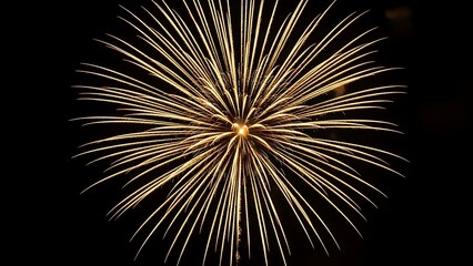 Obraz premium A dazzling burst of golden light radiates against a dark night sky