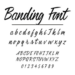 Modern Handwritten Brush Script Font Vector Alphabet Set
