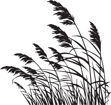 Detailed black silhouette of reeds and tall marsh grass blowing in the wind.