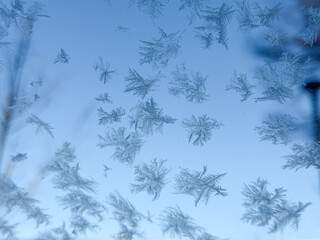 Obraz premium Detailed Ice Crystals and Frost Patterns on a Cold Winter Morning