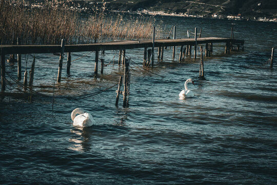 pier in the lake
