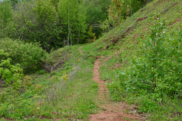 Obraz premium Winding Dirt Path Up a Green Hillside in summer
