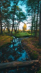 Autumnal Reflections - Serene Forest Stream in Vibrant Colors.