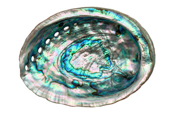 Iridescent abalone shell interior isolated. Smudge bowl.