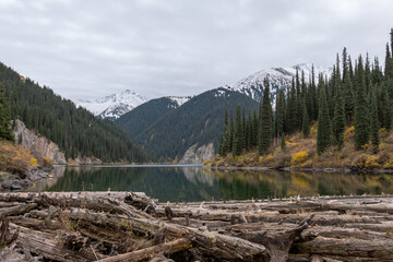 Scenic view of a calm mountain lake surrounded by evergreen forest and alpine slopes, with snow-capped peaks in the background and reflections on the water with fallen logs along the shoreline