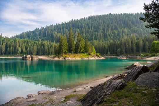 View of Cauma Lake Caumasee with crystal blue turquoise water and rocky beach in beautiful mountain landscape with pine forest, Flims, Graubuenden, Switzerland.