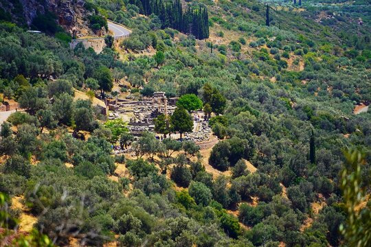 The tholos of Athena Pronaia seen from a distance, in the ancient Oracle of Delphi, Greece