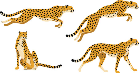 Vector set of cheetah cartoon characters in various poses including running, jumping, sitting, and walking, cad drawing flat vector illustration, isolated. © hiiii