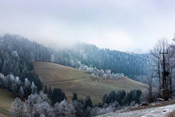 winter landscape in the mountains