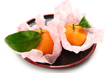 神奈川県の蜜柑、湘南のかほり