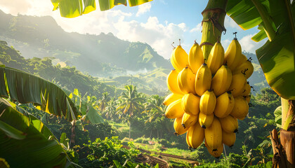 Vibrant Bunch of Ripe Yellow Bananas Hanging from a Tree with Lush Green Tropical Rainforest Mountains in the Background Bathed in Golden Sunlight and Soft Clouds