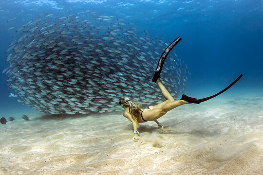 Side view of a woman free diving underwater with an Akule bait ball, Kailua Bay, Kailua Kona, Big Island, Hawaii, USA