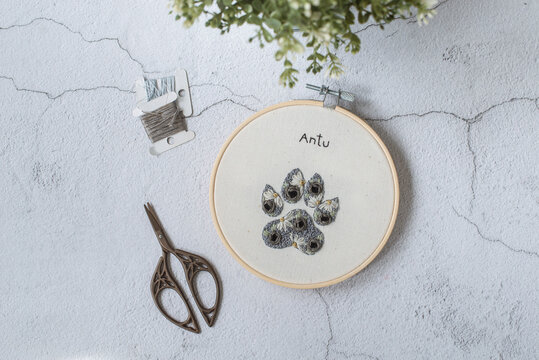 Overhead view of an embroidery hoop with a cats paw print and the word Antu on a table with  houseplant, scissors and thread