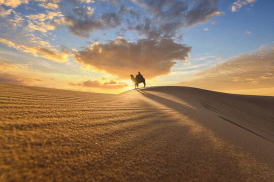 Distant side view of a person riding a Bactrian camel in the Gobi desert at sunrise, Mongolia
