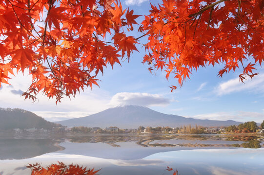 Mt Fuji (Fujisan) and red autumnal maple trees reflected in a lake, Yamanashi Prefecture, Honshu, Japan
