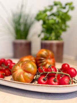 Close-up of assorted tomatoes on a plate in front of basil and chive plants in plant pots