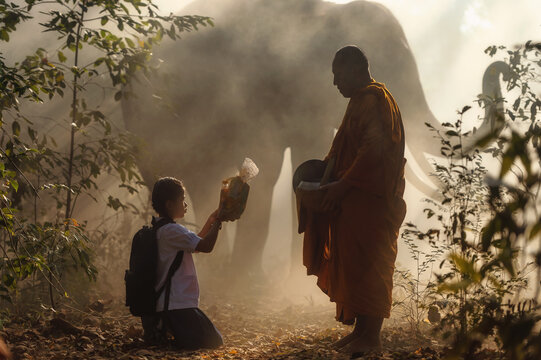 Side view of a Buddhist monk and his elephant collecting alms from a schoolgirl in a misty forest, Krapho, Tha Tum District, Surin, Thailand