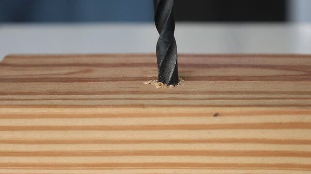 Extreme Macro Drill Bit Cutting Into Wood
