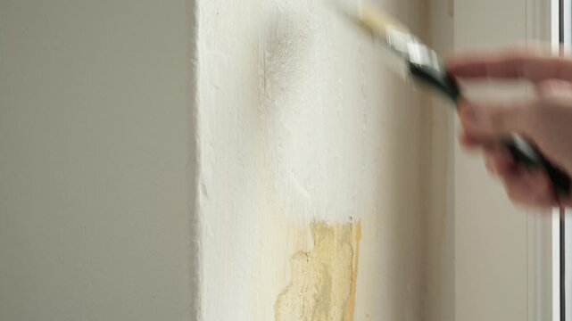 Person's hand painting over a water stain on a wall with white paint using a brush.