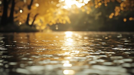 Sunlight on autumn water surface.