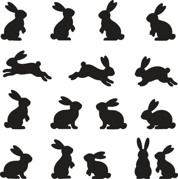 Rabbit Vector Icon on White Background