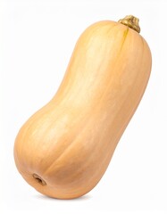 Butternut-K&uuml;rbis freigestellt