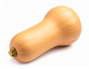 Butternut-K&uuml;rbis freigestellt