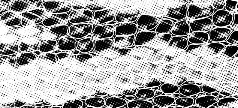 Snakeskin pattern imitation. Lines and spots structural texture. Cool and artsy faux leather background. Abstract vector illustration. Black isolated on white. EPS10