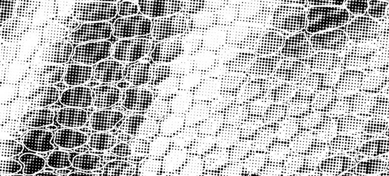 Snakeskin pattern imitation. Lines and spots structural texture. Cool and artsy faux leather background. Abstract vector illustration. Black isolated on white. EPS10