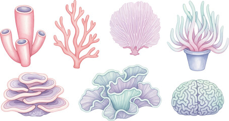 Hand drawn pastel coral reef elements vector set © Munira