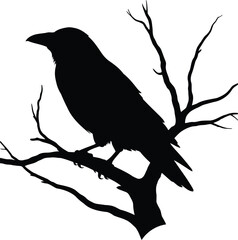 Obraz premium Majestic black bird perched on bare tree branch silhouette
