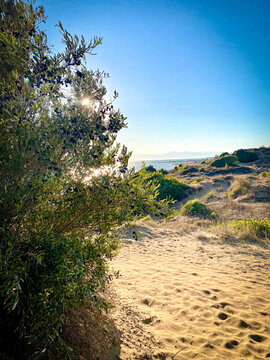 Mediterraner Strand mit Sonne, kleinem Strauch und Mittelmeer