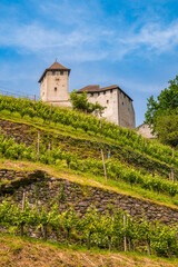 Fototapeta premium Gutenberg Castle Burg Gutenberg located on a hilltop of vineyard, Balzers, Liechtenstein. Blue sky and green hill