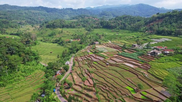 Aerial drone footage of stunning terrace rice fields spot, with lush green mountain forests around, some local houses, in rural valley of Tanjungmedar area, Sumedang regency, Java island, Indonesia