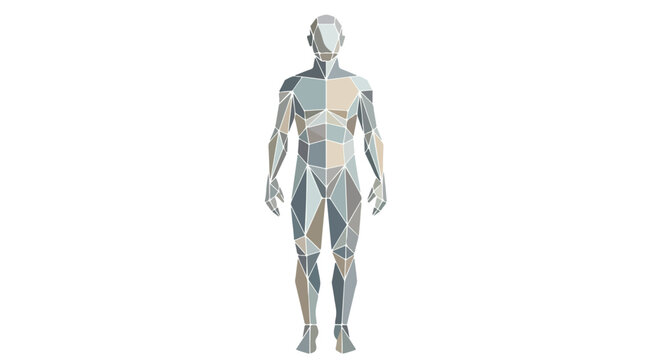 Full-body illustration of a human figure with muscular anatomy highlighted in blue and beige hues against a white background.
