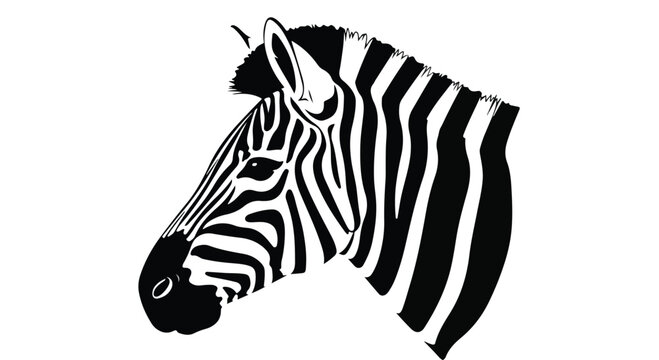 Close-up illustration of a zebra's head in black and white against a clean white background.