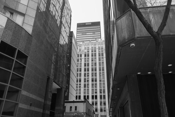 Naklejka premium black and white view of sign outside Bardi's Steak House, Heenan Place, with historic and modern office buildings, Toronto