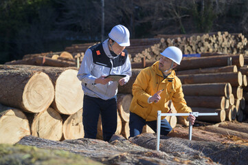 ノギスとタブレットを持って丸太を測る2人の日本人男性　撮影協力：多摩森林センター協同組合