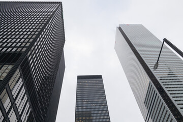 Naklejka premium (at left) TD-Centre and (at right) First Canadian Place, BMO Group headquarters, Toronto