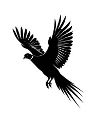 Obraz premium A silhouetted, black pheasant in mid-flight, with outstretched wings, featuring detailed feathering and a small, red eye, set against a stark white backdrop