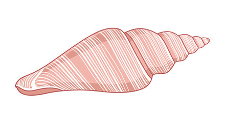 Fototapeta premium Long spiral seashell with delicate white stripes on a soft peach and pink gradient background in detailed illustration style.