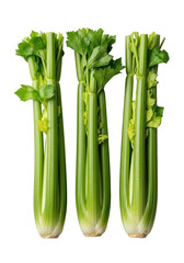 Three fresh, vibrant green celery stalks with crisp textures and lush leaves, presented upright against a seamless transparent background, purity and health concept